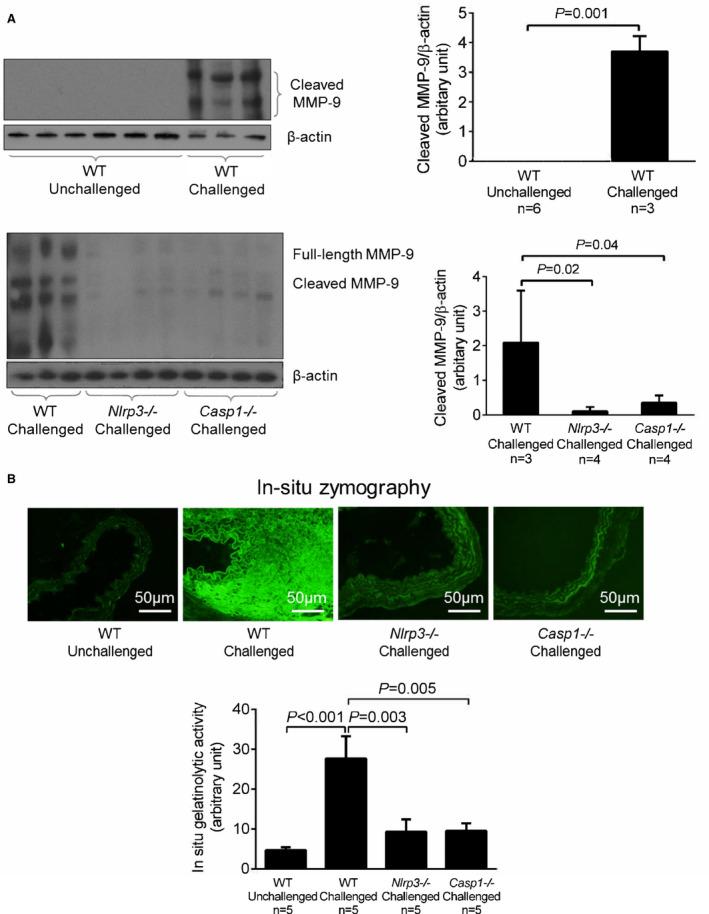 https://cdn.ncbi.nlm.nih.gov/pmc/blobs/b6f4/7428617/4f82e923de2c/JAH3-9-e014044-g005.jpg