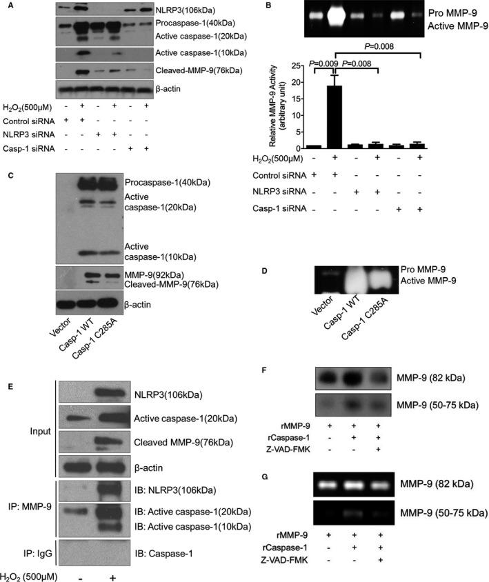 https://cdn.ncbi.nlm.nih.gov/pmc/blobs/b6f4/7428617/6d7f21ed92da/JAH3-9-e014044-g004.jpg