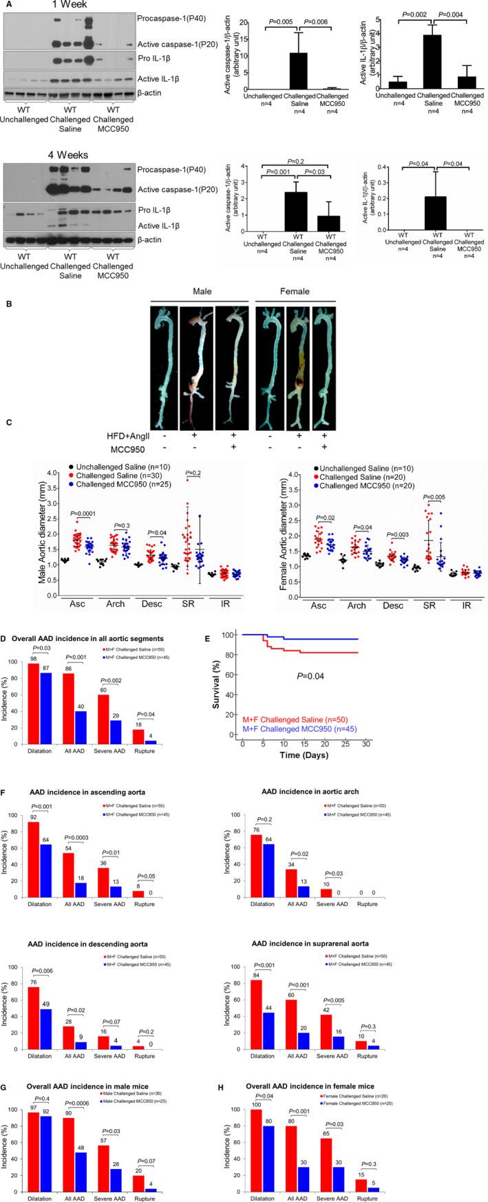 https://cdn.ncbi.nlm.nih.gov/pmc/blobs/b6f4/7428617/876921d3926a/JAH3-9-e014044-g001.jpg
