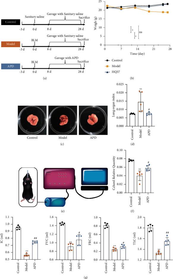 https://cdn.ncbi.nlm.nih.gov/pmc/blobs/b6f5/10997418/19527862e75c/CRJ2024-5554886.001.jpg