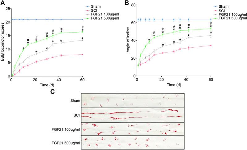 https://cdn.ncbi.nlm.nih.gov/pmc/blobs/b6f5/7873052/bc5f2a98d0f1/fphar-11-628369-g002.jpg