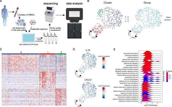 https://cdn.ncbi.nlm.nih.gov/pmc/blobs/b6fa/12012035/66cb172b2383/41598_2025_98781_Fig1_HTML.jpg