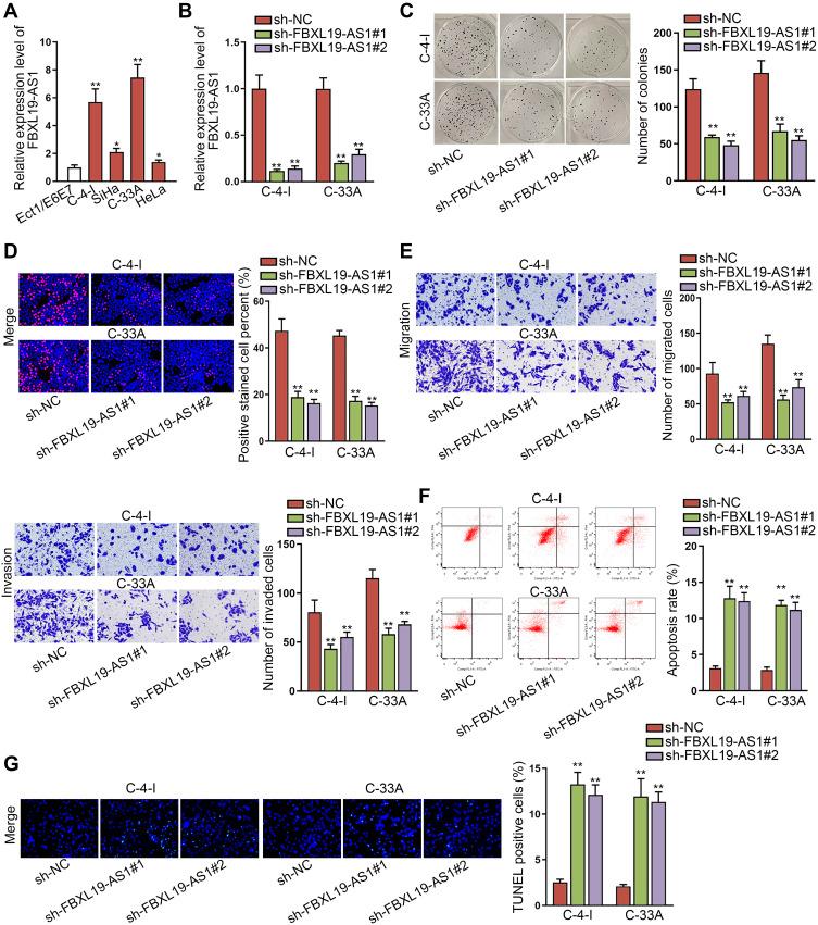 https://cdn.ncbi.nlm.nih.gov/pmc/blobs/b6fa/7548239/bab06aebf6e4/CMAR-12-9741-g0001.jpg