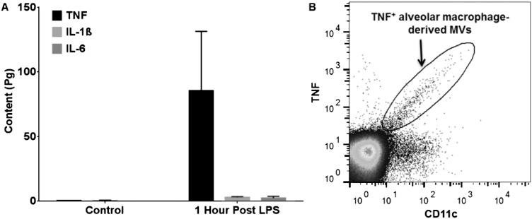 https://cdn.ncbi.nlm.nih.gov/pmc/blobs/b6ff/5099194/6165da8789db/thoraxjnl-2015-208032f05.jpg