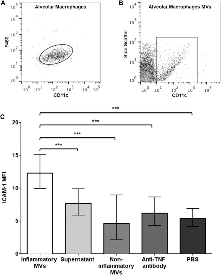 https://cdn.ncbi.nlm.nih.gov/pmc/blobs/b6ff/5099194/af74fbb60e8f/thoraxjnl-2015-208032f07.jpg