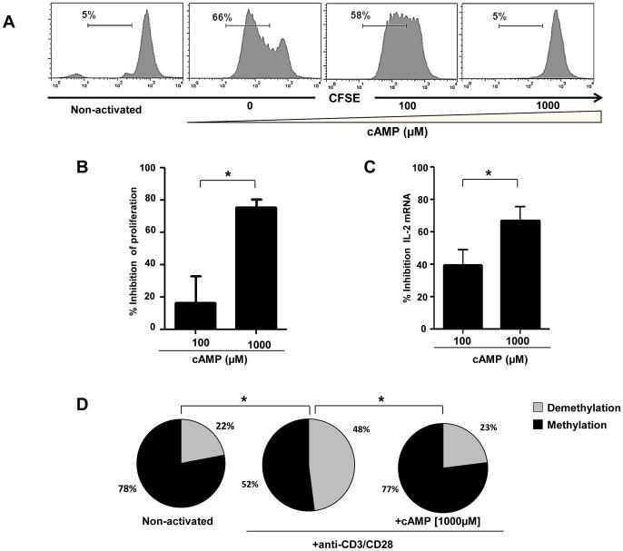 https://cdn.ncbi.nlm.nih.gov/pmc/blobs/b705/3635970/156e5920991b/ppat.1003319.g004.jpg