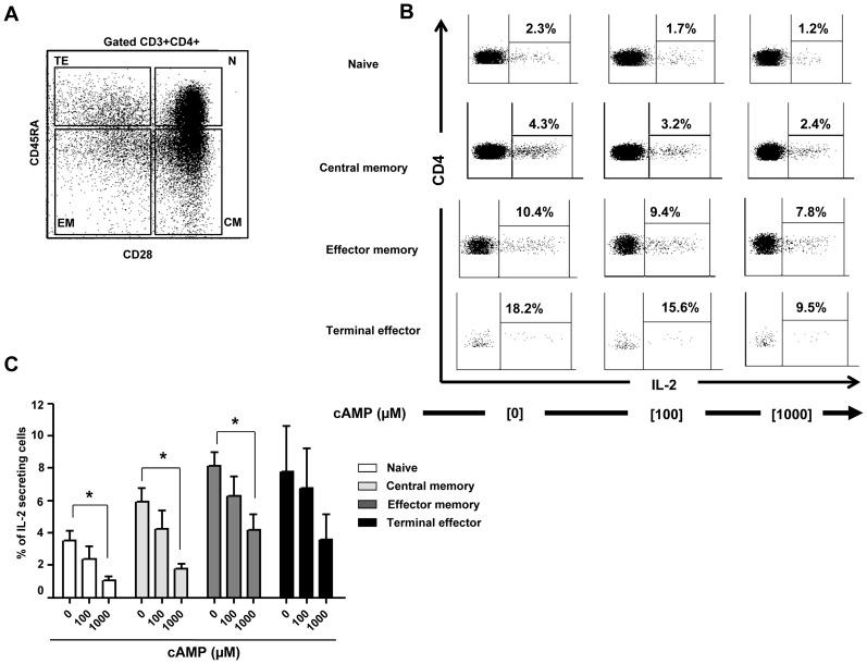 https://cdn.ncbi.nlm.nih.gov/pmc/blobs/b705/3635970/97faaf457101/ppat.1003319.g005.jpg