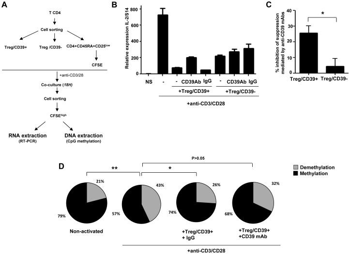 https://cdn.ncbi.nlm.nih.gov/pmc/blobs/b705/3635970/9d8ad61f8ac4/ppat.1003319.g001.jpg