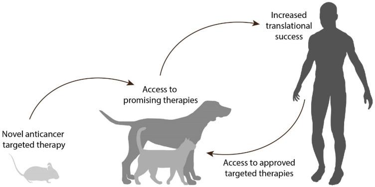 https://cdn.ncbi.nlm.nih.gov/pmc/blobs/b705/7914358/33c01aa64c09/thnov11p3882g001.jpg