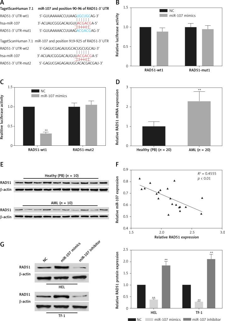 https://cdn.ncbi.nlm.nih.gov/pmc/blobs/b707/8314419/b15595428e55/AMS-17-4-92141-g004.jpg