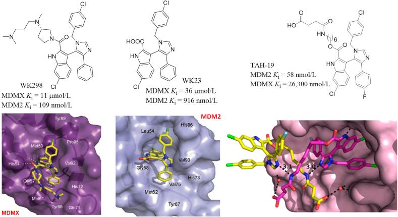 https://cdn.ncbi.nlm.nih.gov/pmc/blobs/b70a/7452049/5d1472637987/gr17.jpg