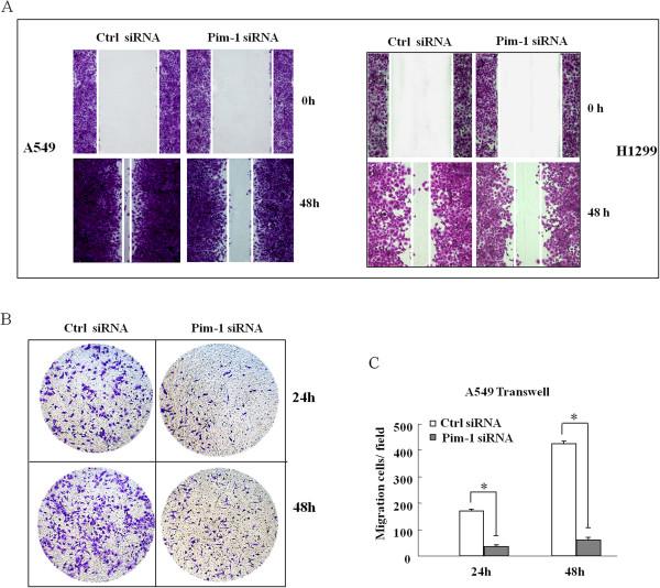 https://cdn.ncbi.nlm.nih.gov/pmc/blobs/b70b/4213487/05c5ae89aa04/12943_2014_1440_Fig3_HTML.jpg