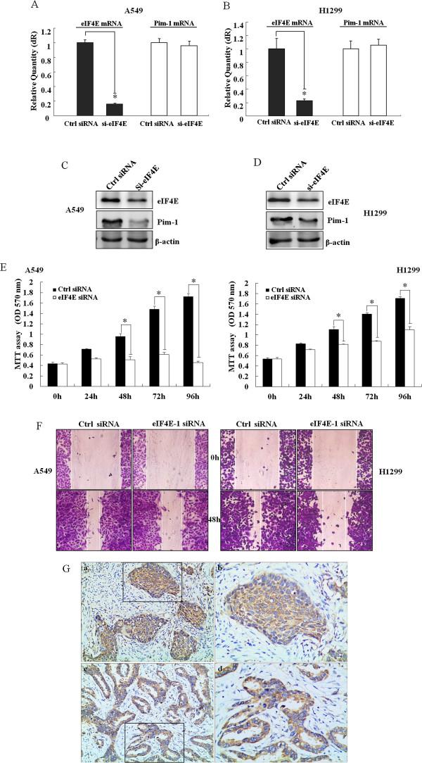 https://cdn.ncbi.nlm.nih.gov/pmc/blobs/b70b/4213487/e23c1e101a4a/12943_2014_1440_Fig5_HTML.jpg