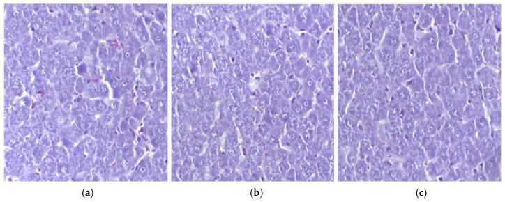 https://cdn.ncbi.nlm.nih.gov/pmc/blobs/b70c/12030005/58cce11c6c15/pharmaceutics-17-00523-g001.jpg