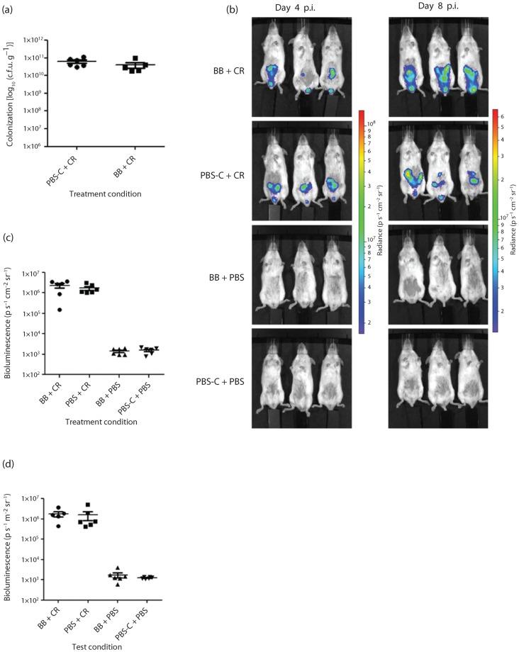 https://cdn.ncbi.nlm.nih.gov/pmc/blobs/b70e/3541765/da9be3bfece6/060830-f1.jpg