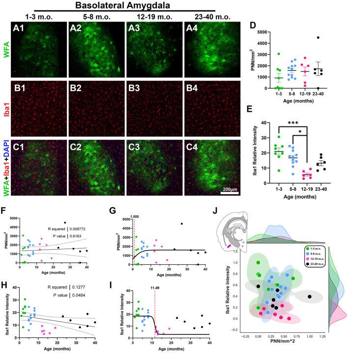 https://cdn.ncbi.nlm.nih.gov/pmc/blobs/b710/10917993/56a8831f921d/fnins-18-1365737-g0008.jpg