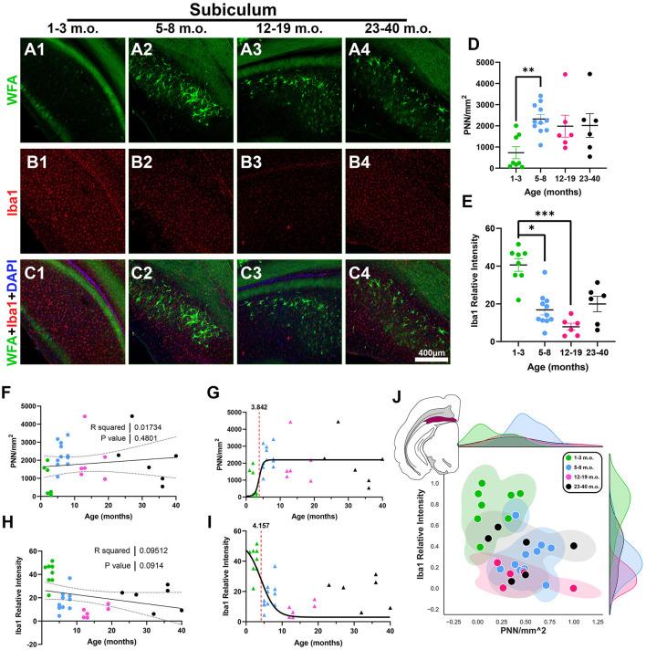 https://cdn.ncbi.nlm.nih.gov/pmc/blobs/b710/10917993/96bd1284ca78/fnins-18-1365737-g0007.jpg
