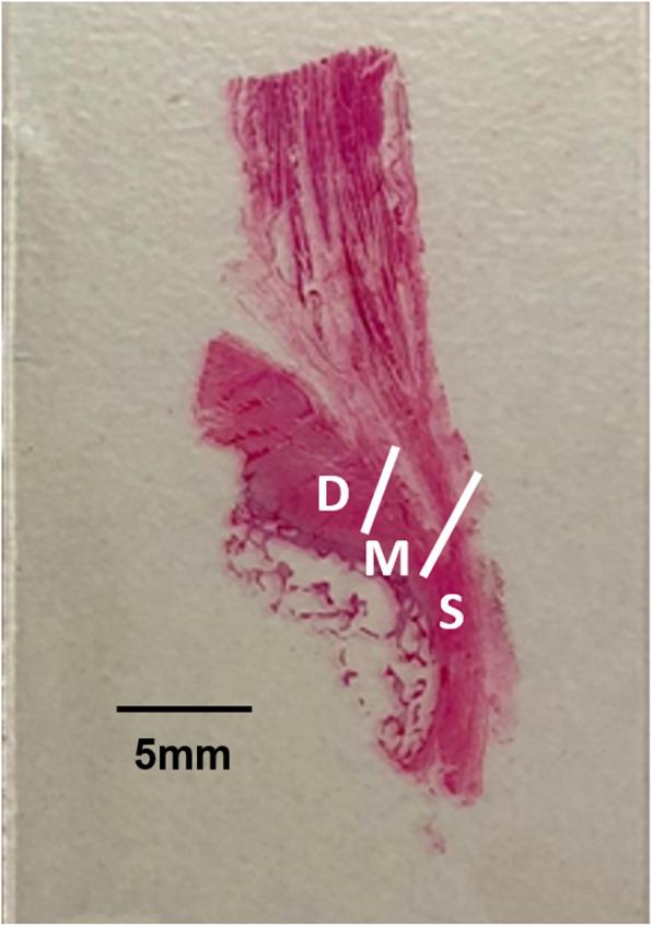 https://cdn.ncbi.nlm.nih.gov/pmc/blobs/b710/7690166/a93e9be677f0/12891_2020_3784_Fig2_HTML.jpg