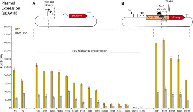 https://cdn.ncbi.nlm.nih.gov/pmc/blobs/b711/7229861/ef681d6c785d/gkaa167fig2.jpg