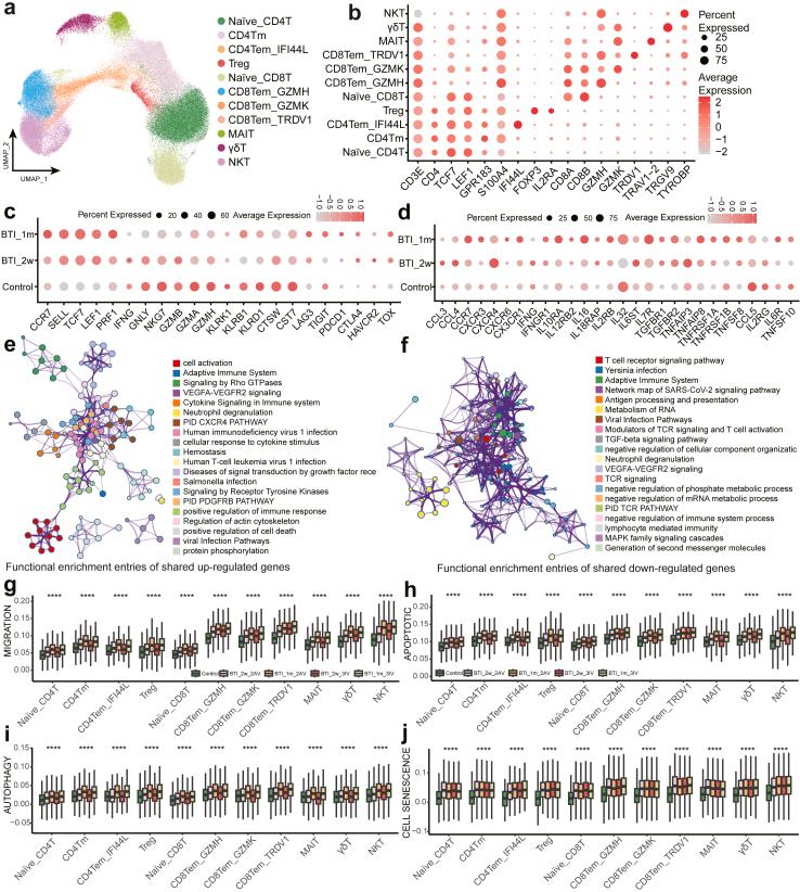 https://cdn.ncbi.nlm.nih.gov/pmc/blobs/b712/11605469/142ea8a28cdb/gr4.jpg