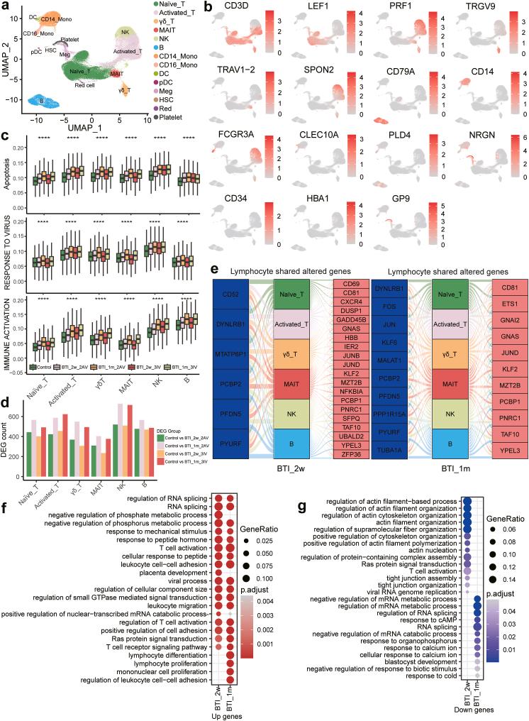 https://cdn.ncbi.nlm.nih.gov/pmc/blobs/b712/11605469/15c42f7566e5/gr2.jpg