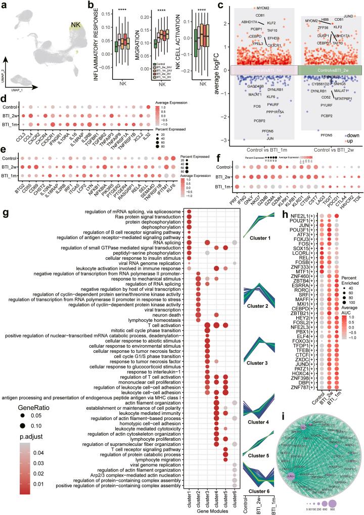 https://cdn.ncbi.nlm.nih.gov/pmc/blobs/b712/11605469/cfe75d6bf6e0/gr3.jpg