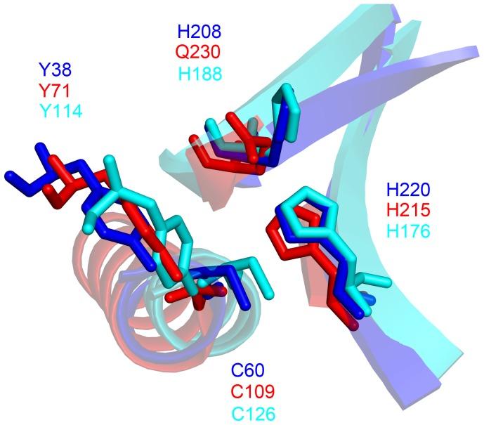 https://cdn.ncbi.nlm.nih.gov/pmc/blobs/b714/3573020/5819a99edc52/pone.0056138.g005.jpg
