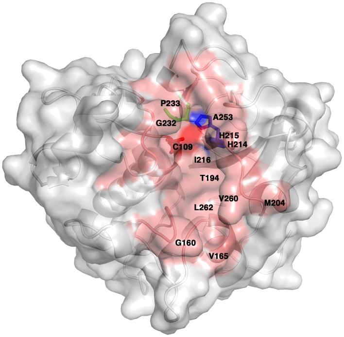 https://cdn.ncbi.nlm.nih.gov/pmc/blobs/b714/3573020/60246f4ea189/pone.0056138.g007.jpg