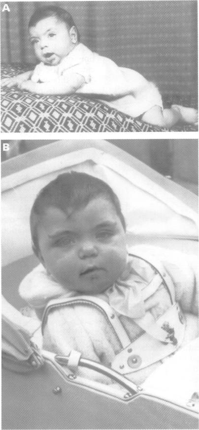 https://cdn.ncbi.nlm.nih.gov/pmc/blobs/b716/1051283/b8977d82d4ca/jmedgene00233-0061-a.jpg