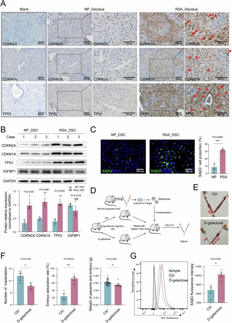 https://cdn.ncbi.nlm.nih.gov/pmc/blobs/b716/11535022/0fe89ee7f55a/44318_2024_220_Fig2_HTML.jpg