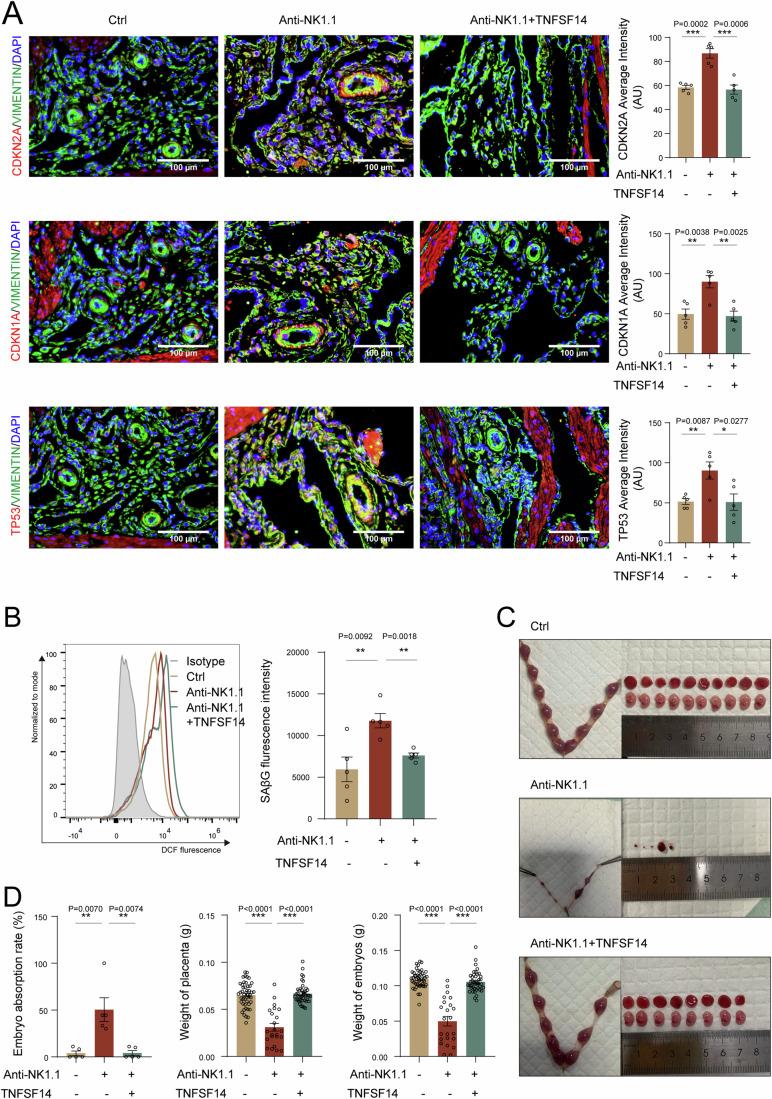 https://cdn.ncbi.nlm.nih.gov/pmc/blobs/b716/11535022/7ed5ac3ce998/44318_2024_220_Fig7_HTML.jpg