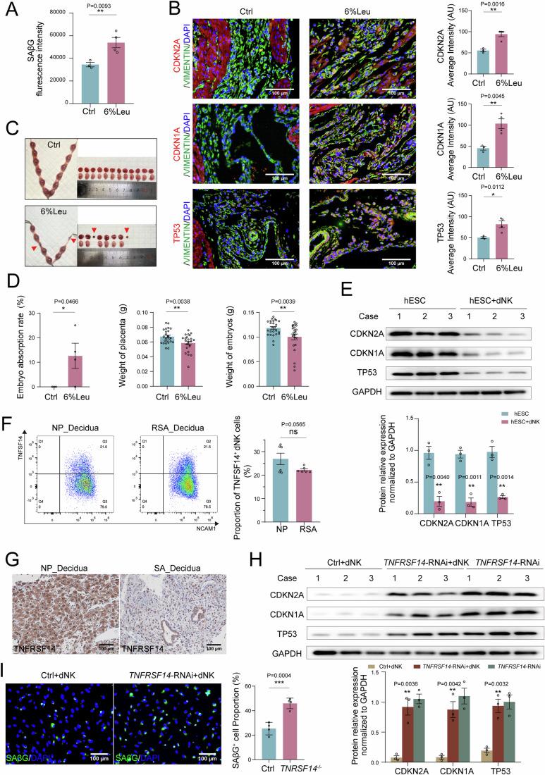 https://cdn.ncbi.nlm.nih.gov/pmc/blobs/b716/11535022/94c49489efed/44318_2024_220_Fig4_HTML.jpg