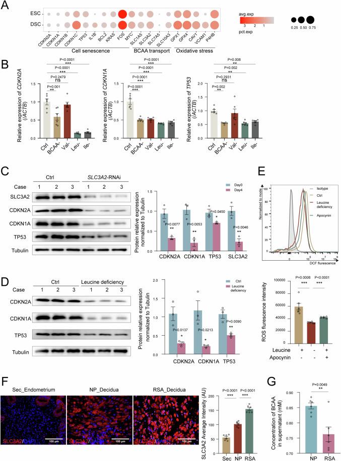 https://cdn.ncbi.nlm.nih.gov/pmc/blobs/b716/11535022/964196bc31ab/44318_2024_220_Fig3_HTML.jpg