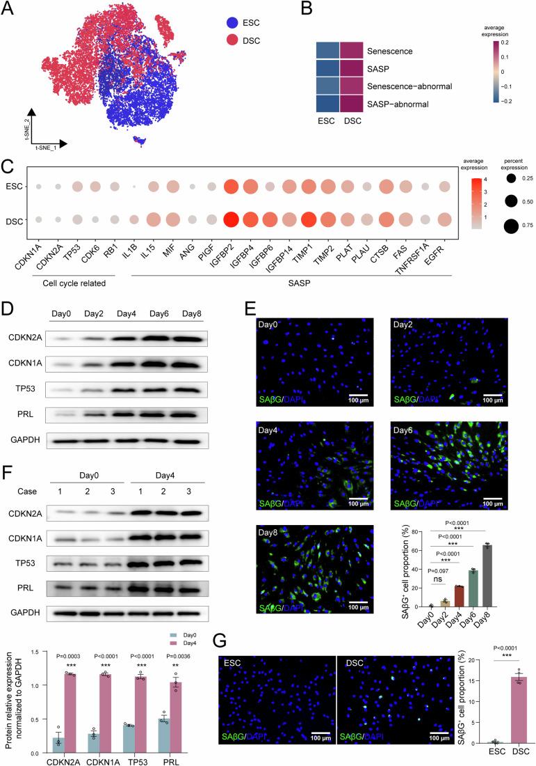 https://cdn.ncbi.nlm.nih.gov/pmc/blobs/b716/11535022/a30ba29f3c6c/44318_2024_220_Fig1_HTML.jpg