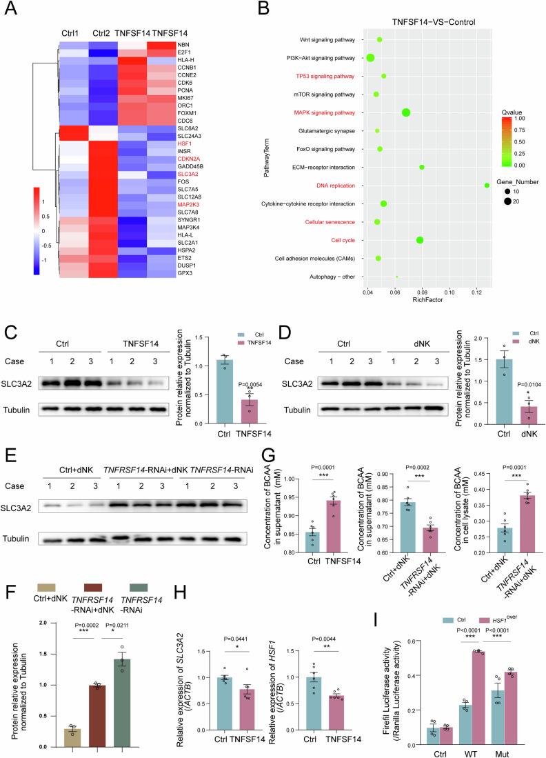 https://cdn.ncbi.nlm.nih.gov/pmc/blobs/b716/11535022/e615dfffc4db/44318_2024_220_Fig6_HTML.jpg