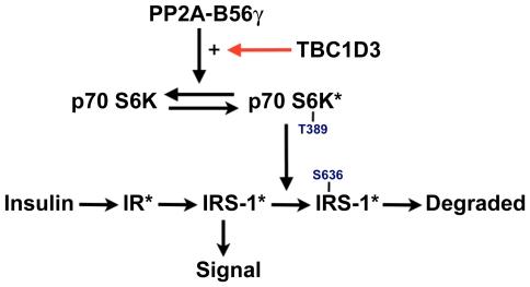 https://cdn.ncbi.nlm.nih.gov/pmc/blobs/b716/3278430/1b0b84e0b351/pone.0031225.g007.jpg