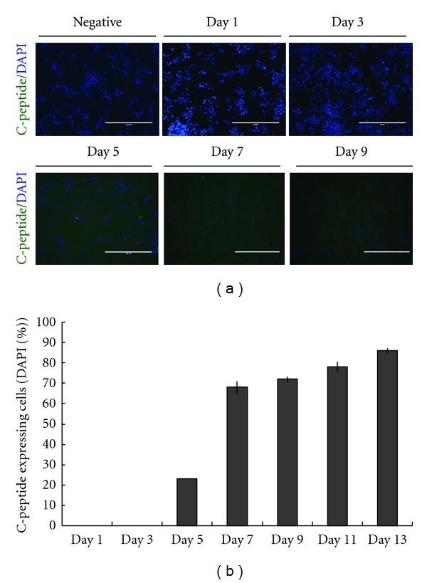 https://cdn.ncbi.nlm.nih.gov/pmc/blobs/b717/3420137/d3cb31916480/EDR2012-201295.003.jpg