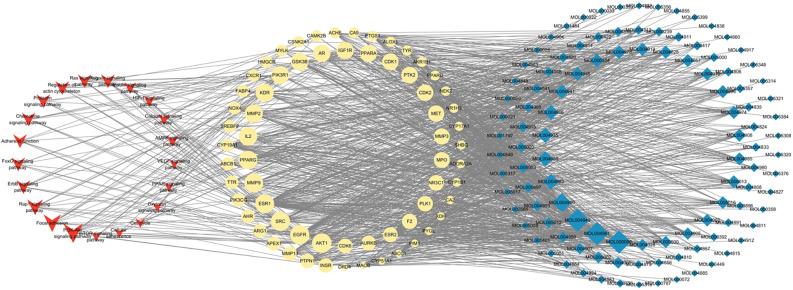https://cdn.ncbi.nlm.nih.gov/pmc/blobs/b718/11229930/0ca00138fecc/WJCC-12-3505-g005.jpg