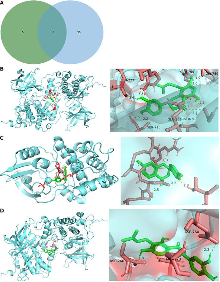 https://cdn.ncbi.nlm.nih.gov/pmc/blobs/b718/11229930/b0d95832f9b3/WJCC-12-3505-g006.jpg
