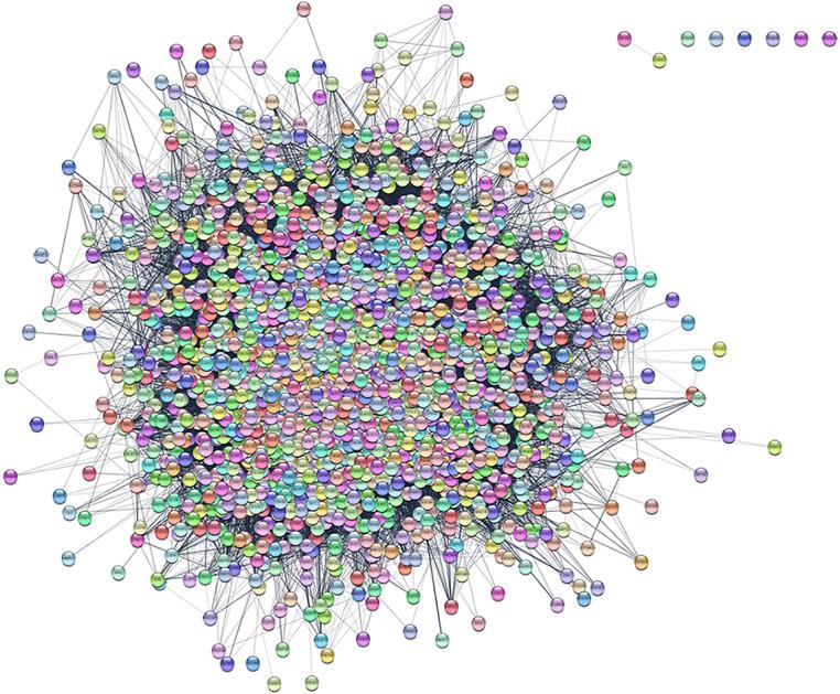 https://cdn.ncbi.nlm.nih.gov/pmc/blobs/b718/11229930/b352938be943/WJCC-12-3505-g001.jpg