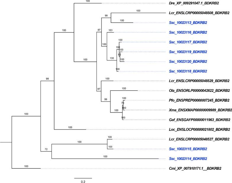 https://cdn.ncbi.nlm.nih.gov/pmc/blobs/b719/7968187/03a263866d6b/12862_2021_1774_Fig3_HTML.jpg