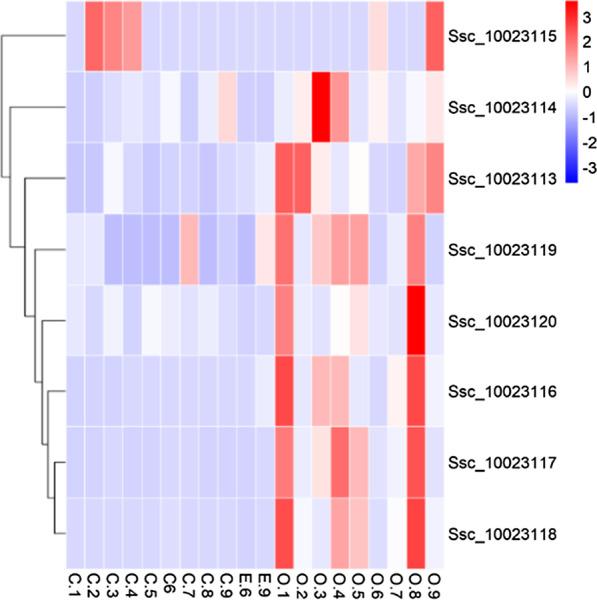 https://cdn.ncbi.nlm.nih.gov/pmc/blobs/b719/7968187/1cc7baee923e/12862_2021_1774_Fig6_HTML.jpg