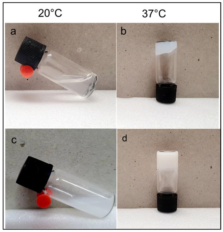 https://cdn.ncbi.nlm.nih.gov/pmc/blobs/b71a/12195791/48e149eca059/pharmaceutics-17-00709-g009.jpg