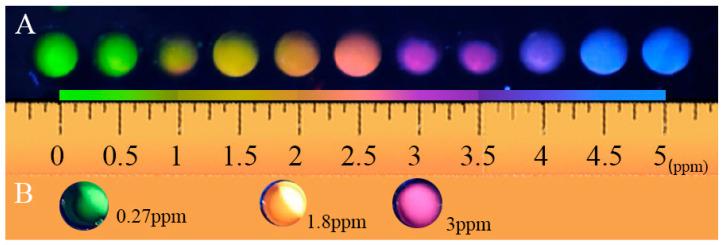 https://cdn.ncbi.nlm.nih.gov/pmc/blobs/b71b/12024939/9e263465a5dd/biosensors-15-00226-g005.jpg