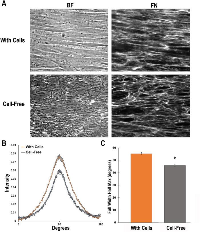 https://cdn.ncbi.nlm.nih.gov/pmc/blobs/b71b/8108514/f55f3c73989f/mbc-32-739-g001.jpg