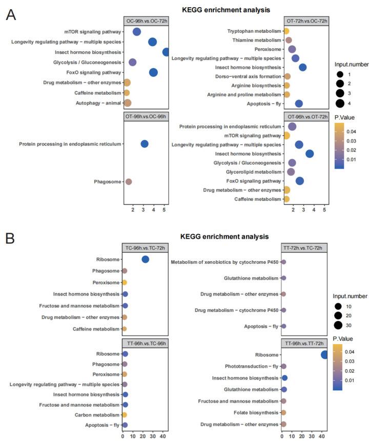 https://cdn.ncbi.nlm.nih.gov/pmc/blobs/b71f/12194514/6716a847b823/insects-16-00619-g003.jpg