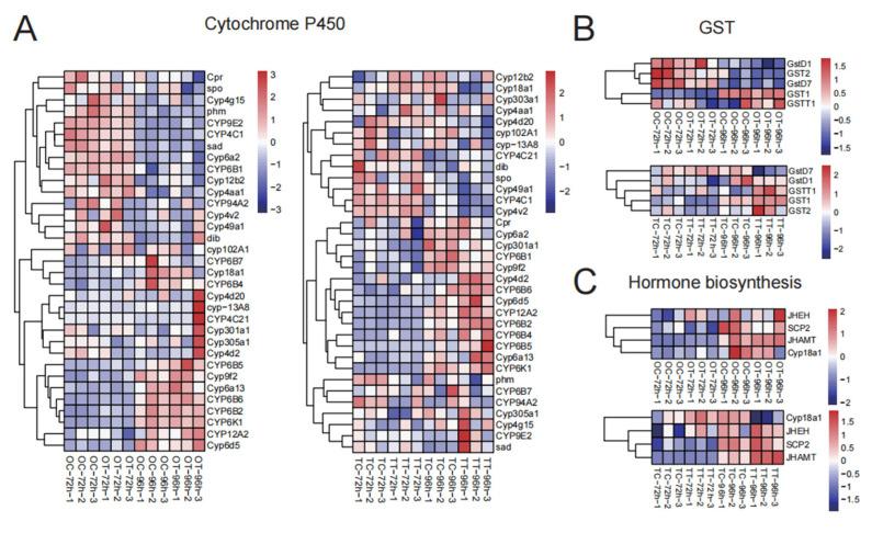 https://cdn.ncbi.nlm.nih.gov/pmc/blobs/b71f/12194514/a95b8a7c0b5b/insects-16-00619-g004.jpg