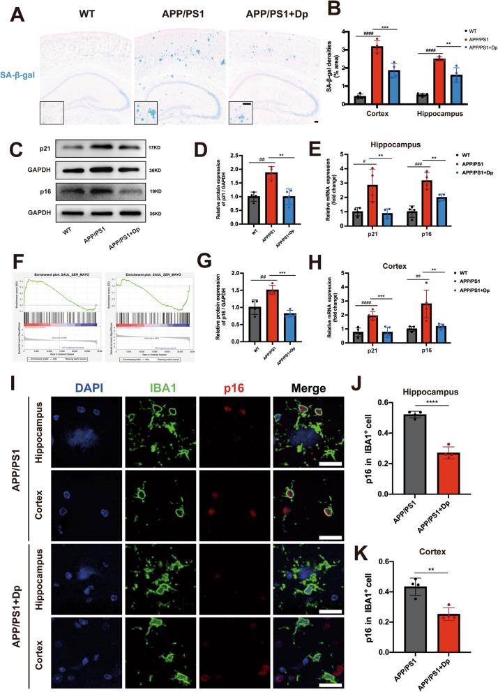 https://cdn.ncbi.nlm.nih.gov/pmc/blobs/b720/12180243/0a683971f2df/13195_2025_1783_Fig6_HTML.jpg