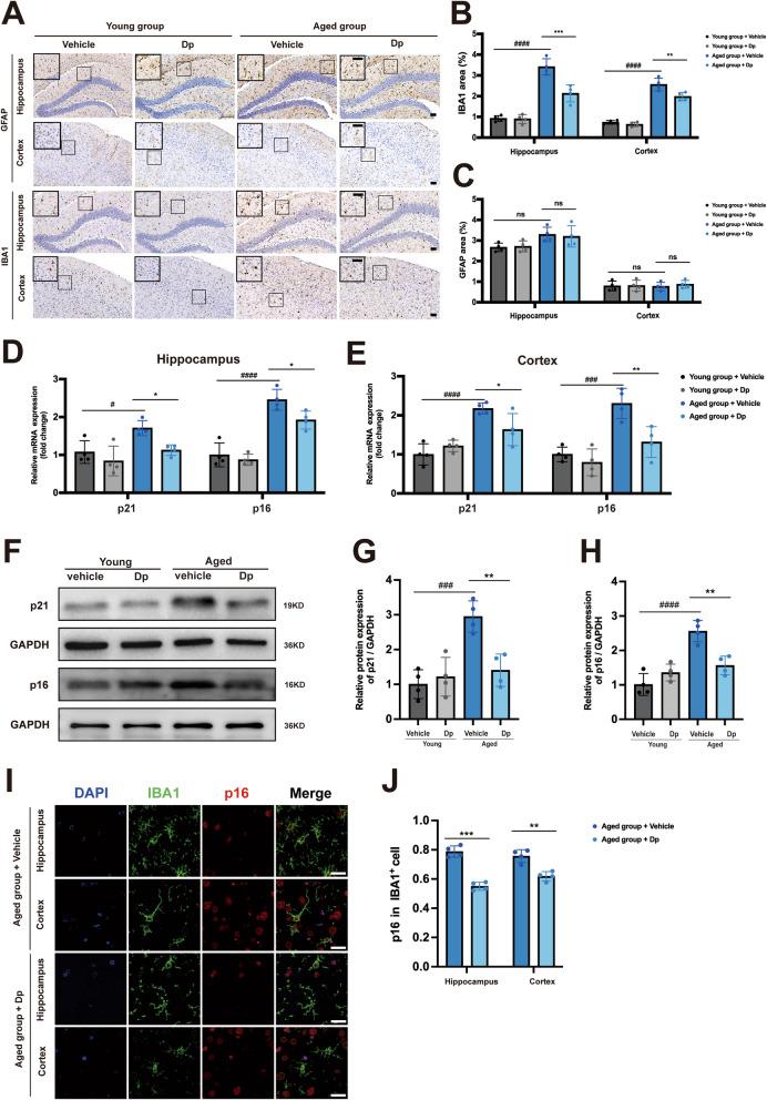 https://cdn.ncbi.nlm.nih.gov/pmc/blobs/b720/12180243/1260d7bc36cb/13195_2025_1783_Fig11_HTML.jpg