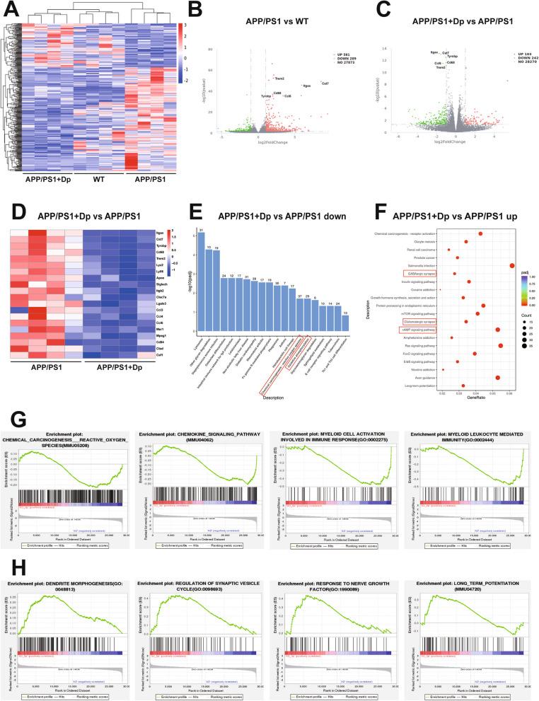 https://cdn.ncbi.nlm.nih.gov/pmc/blobs/b720/12180243/19da9c609727/13195_2025_1783_Fig2_HTML.jpg